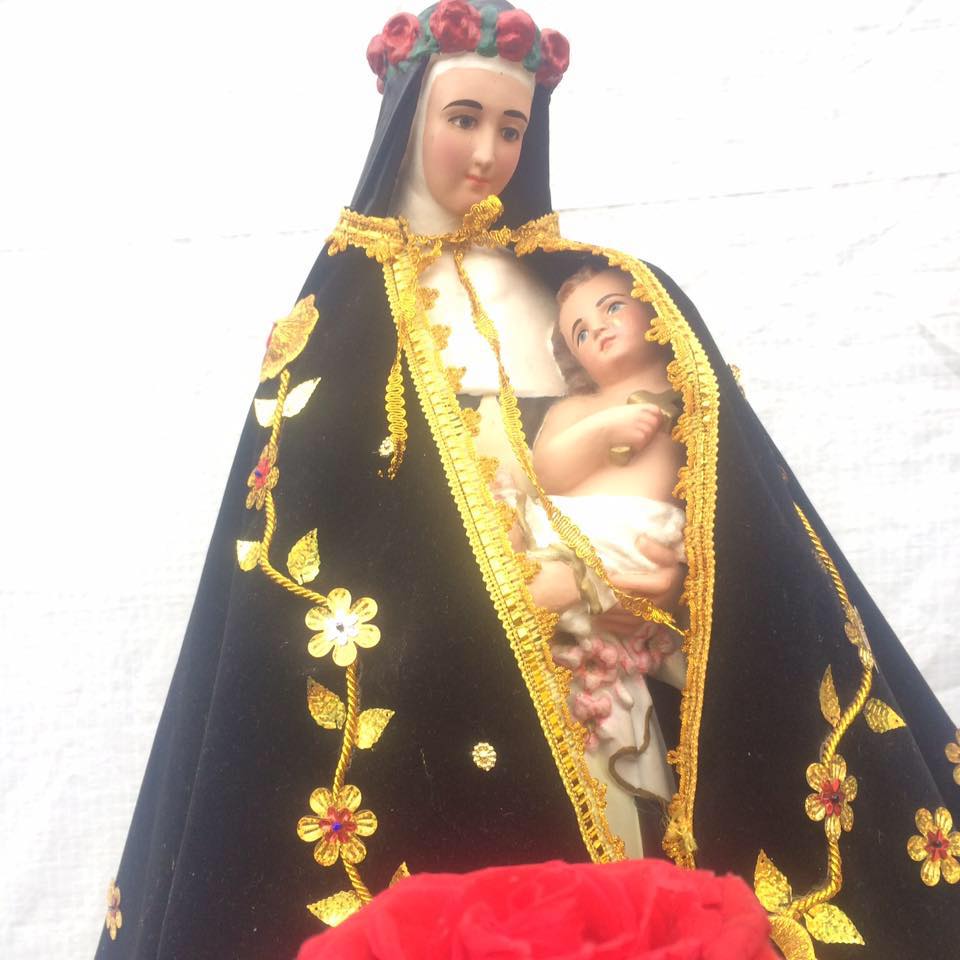 CEBE ROSA DE AMERICA